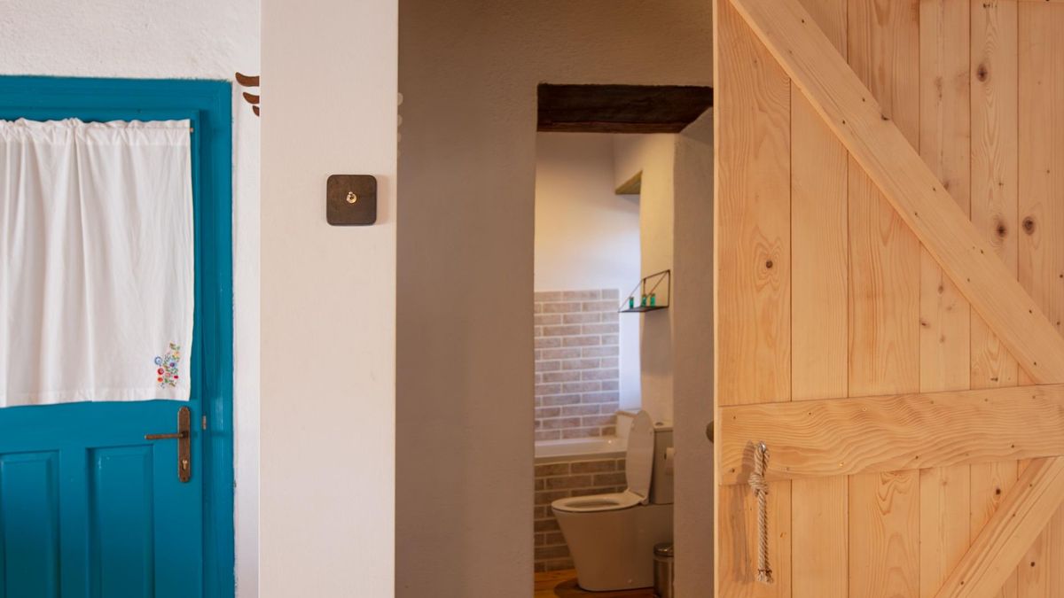 Teal door with a curtain and the plank door to the bathroom